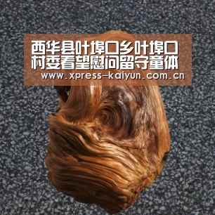 西华县叶埠口乡叶埠口村委看望慰问留守童体现党的温暖‘开云体育网站’(图4) 开云在线直播