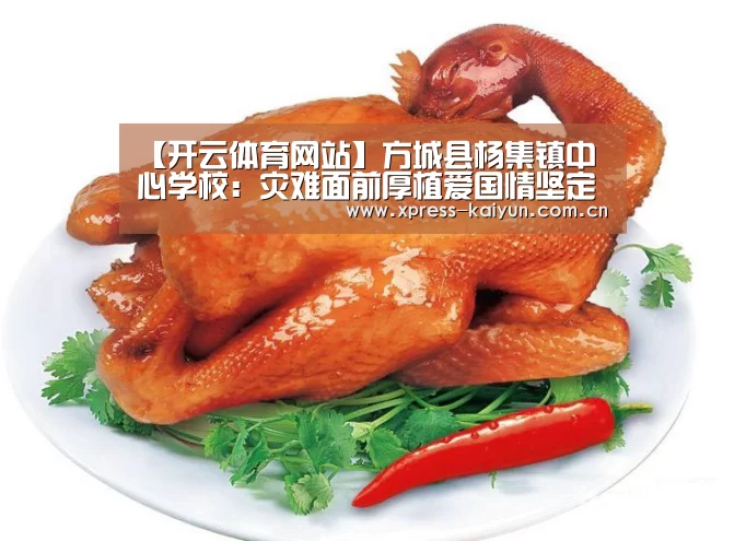 【开云体育网站】方城县杨集镇中心学校:灾难面前厚植爱国情坚定信念促成长(图2) 开云在线直播