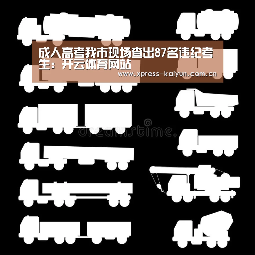 成人高考我市现场查出87名违纪考生:开云体育网站(图2) 开元体育